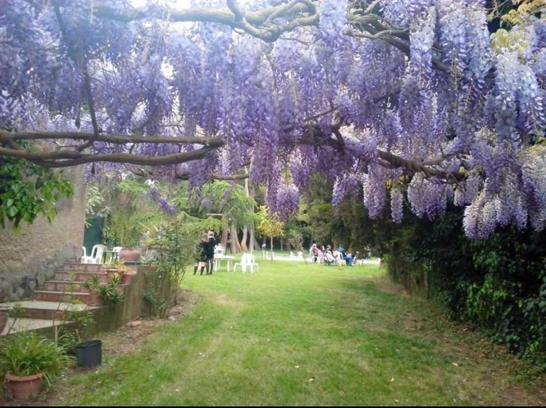 Agriturismo Feudo Tudia Landro 外观 照片