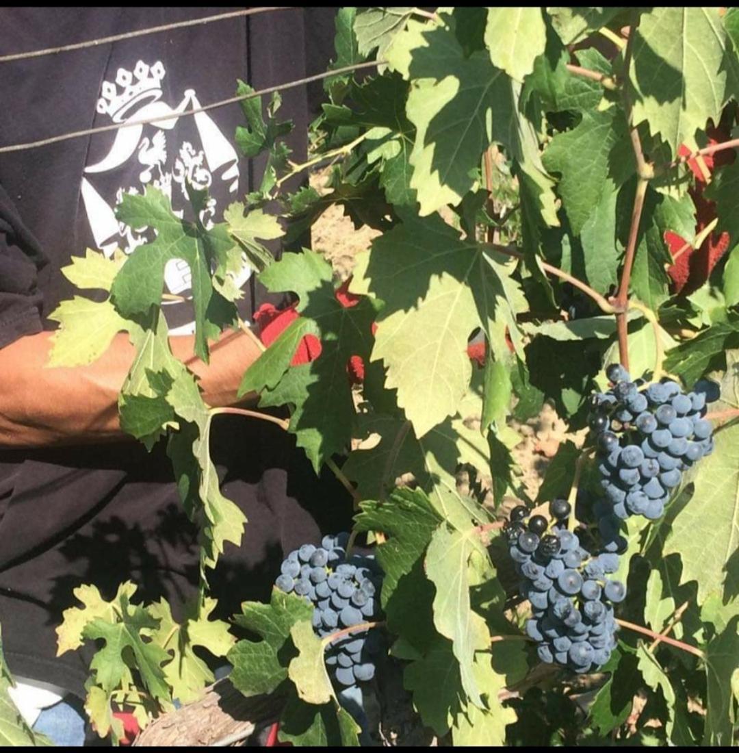 Agriturismo Feudo Tudia Landro 外观 照片